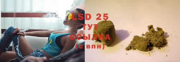 сатива Лихославль