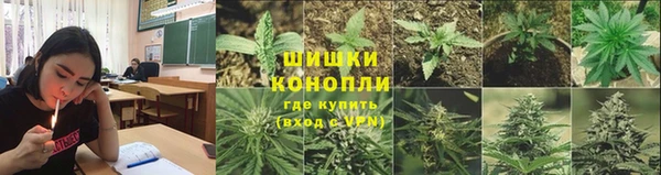 мдпв Липки