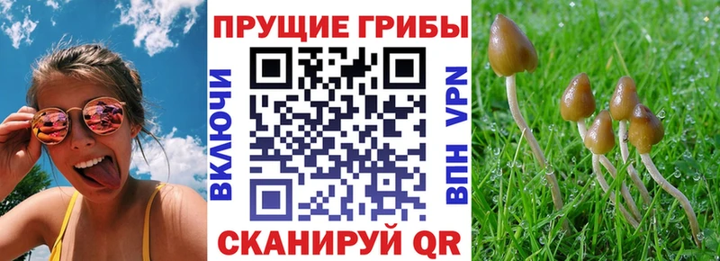 Купить  Артёмовск  Псилоцибиновые грибы ЛСД 